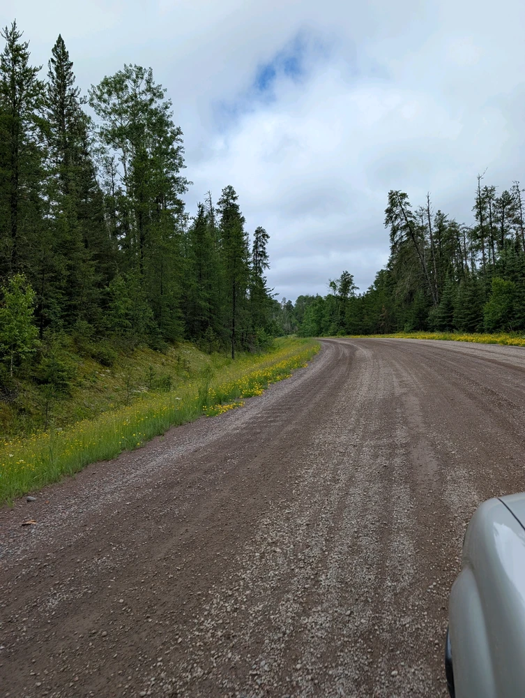 Image uploaded by Coyote