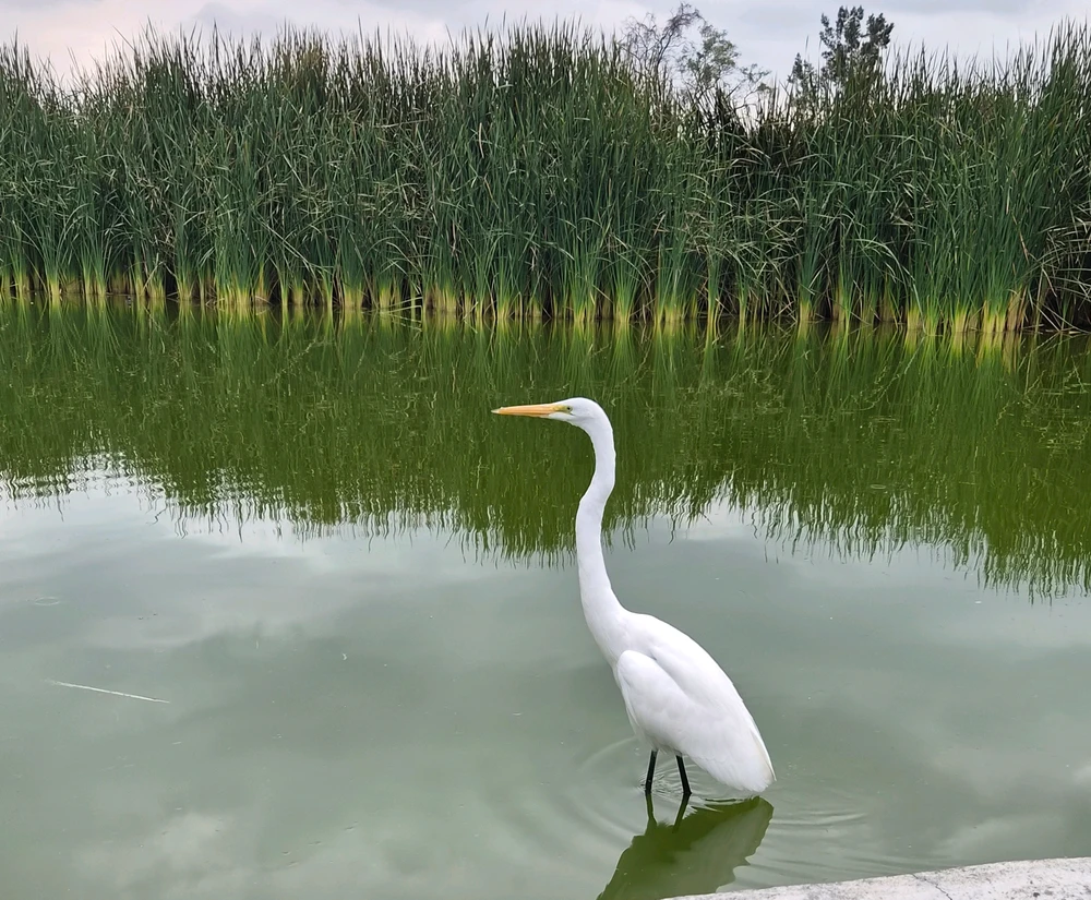 GIF uploaded by Alcourt