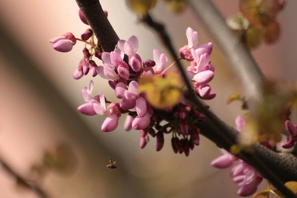GIF uploaded by Efe