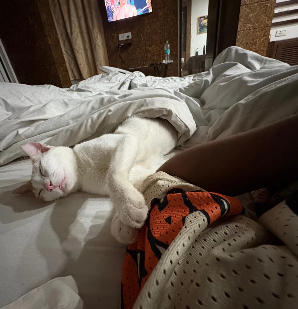 GIF uploaded by kizz