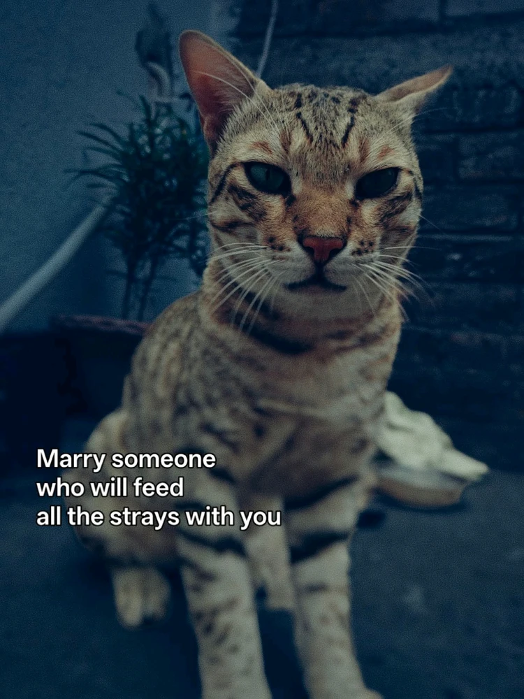 GIF uploaded by Min