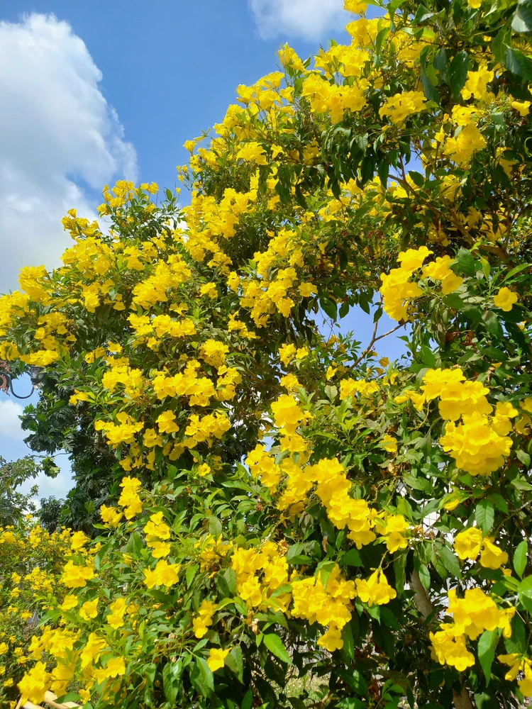 GIF uploaded by Han