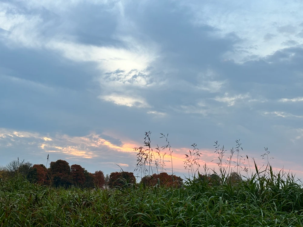 GIF uploaded by Olya