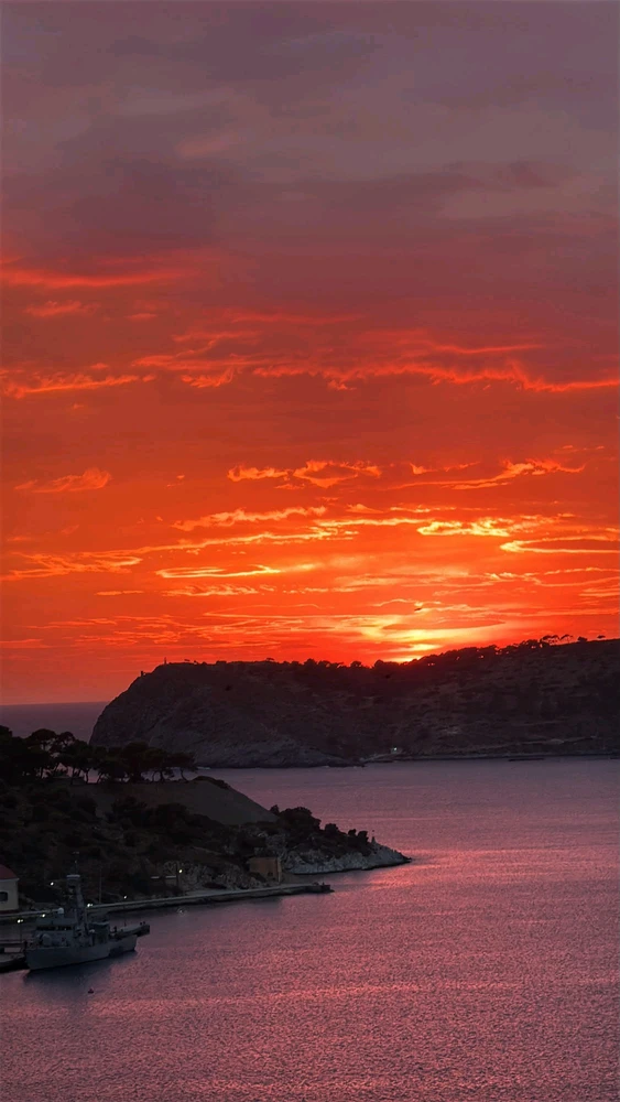Image uploaded by Buddy