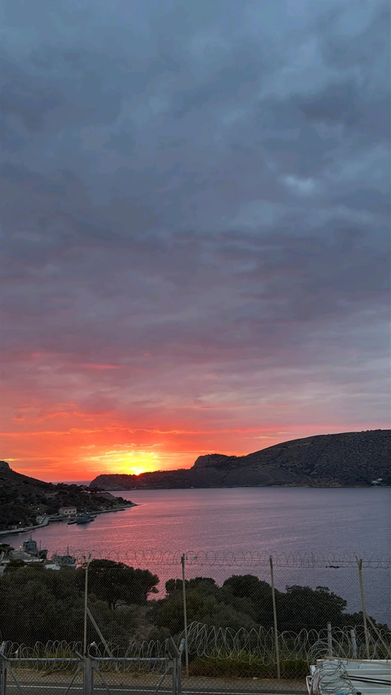 Image uploaded by Buddy