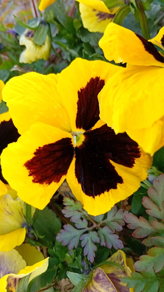 GIF uploaded by Samuel
