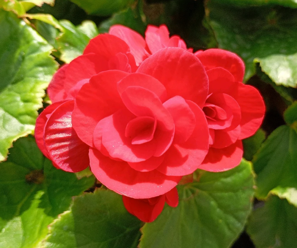 GIF uploaded by Samuel