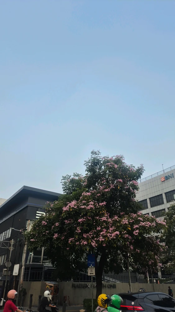 Image uploaded by Christ