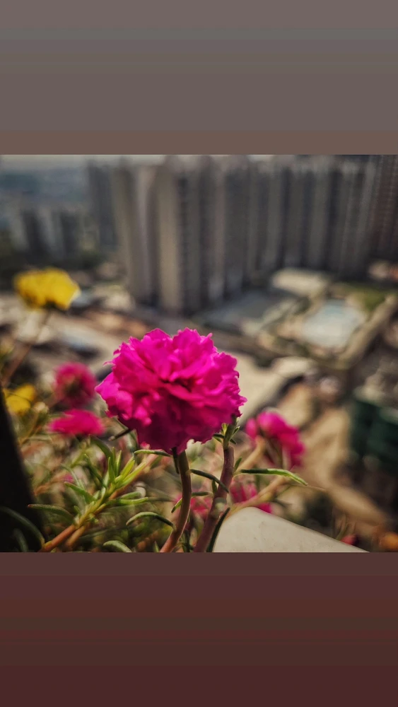 Image uploaded by Max Drew / Raman