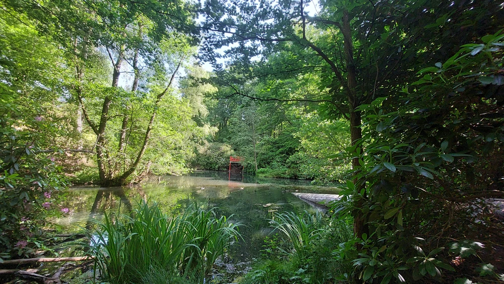 GIF uploaded by Kornelius