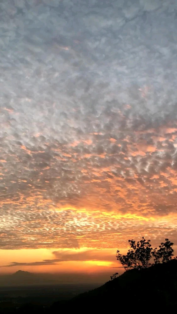 GIF uploaded by anisa