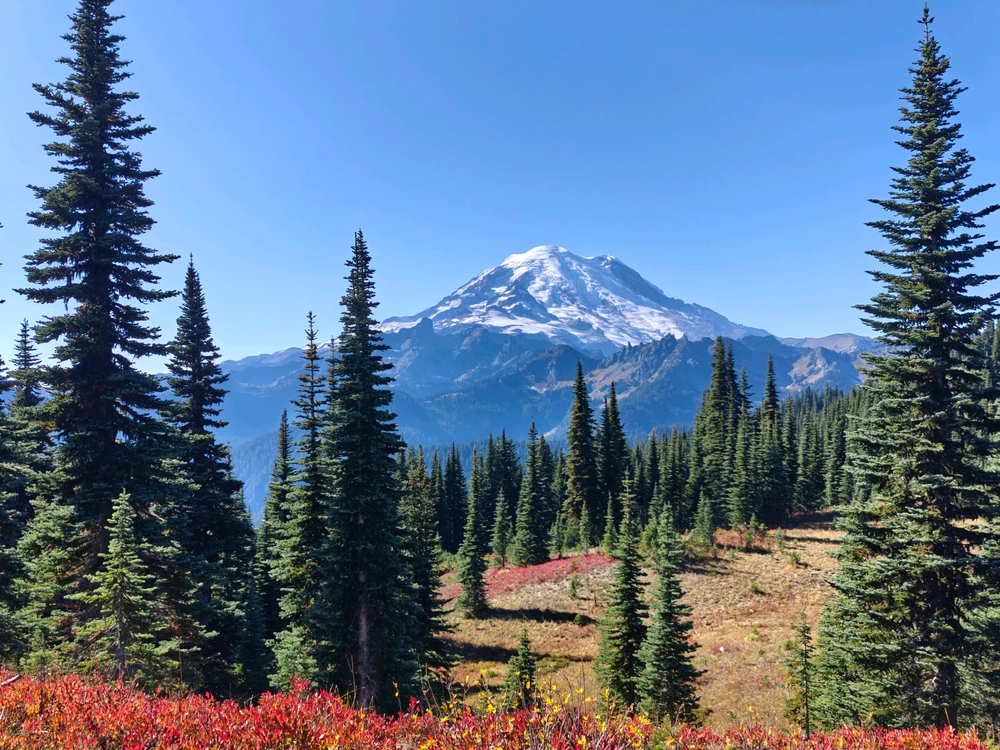 GIF uploaded by Zack