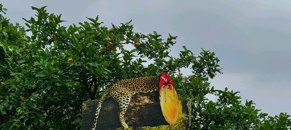 GIF uploaded by Sunuy