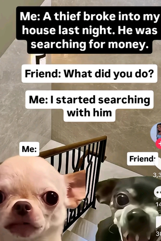 GIF nke Mieke bugoro