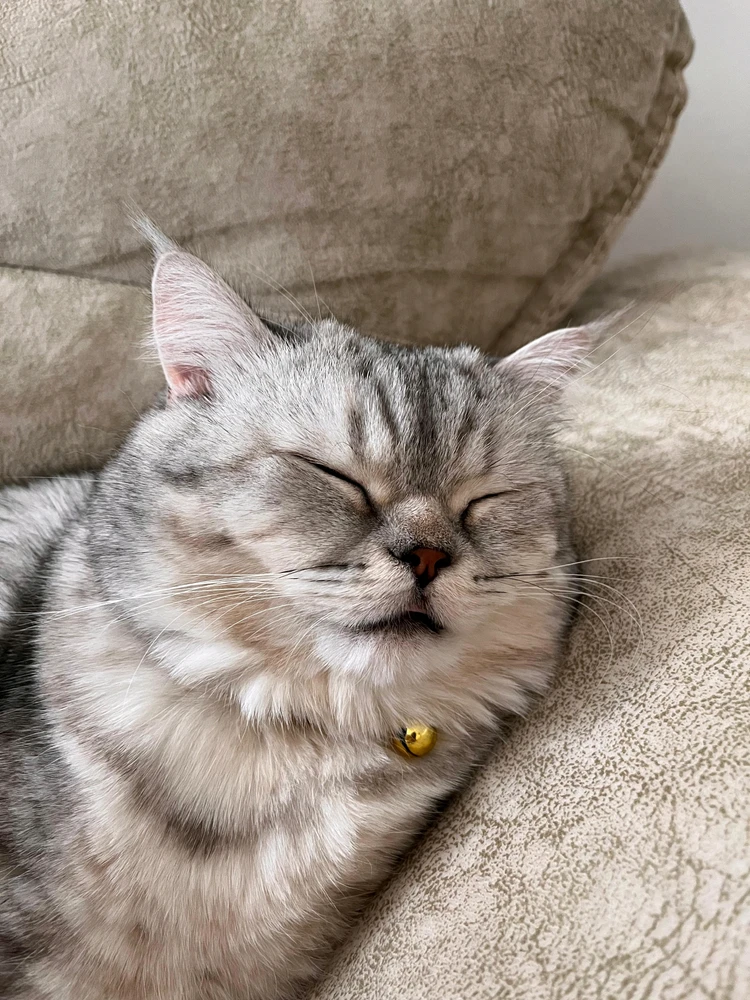 GIF uploaded by Osman