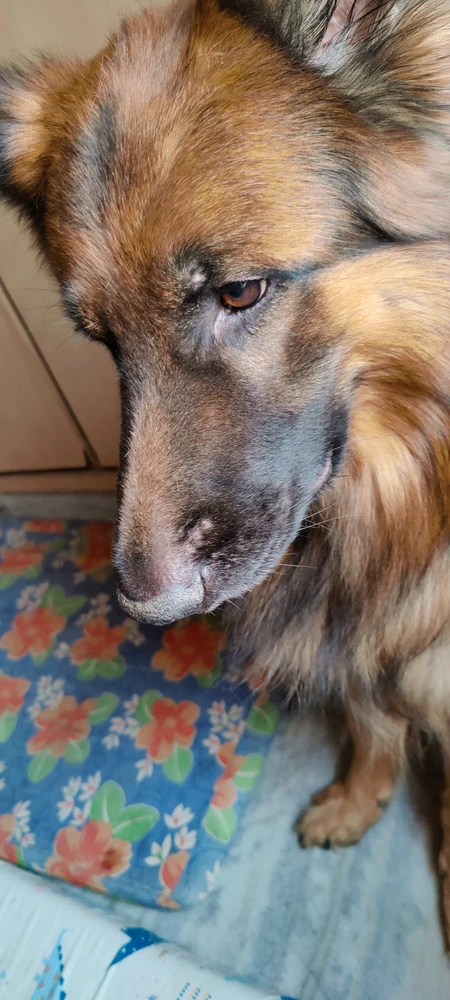 GIF uploaded by Veeraa