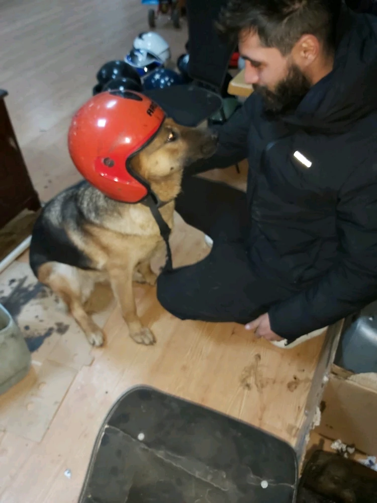 GIF uploaded by Efe