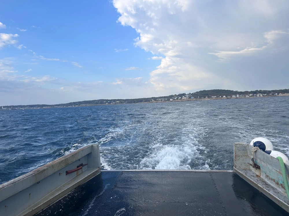 Image uploaded by Connor