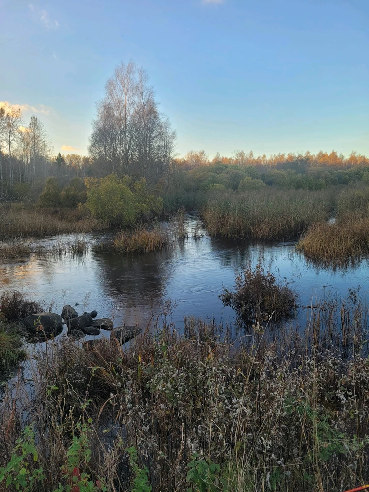 GIF uploaded by Risto