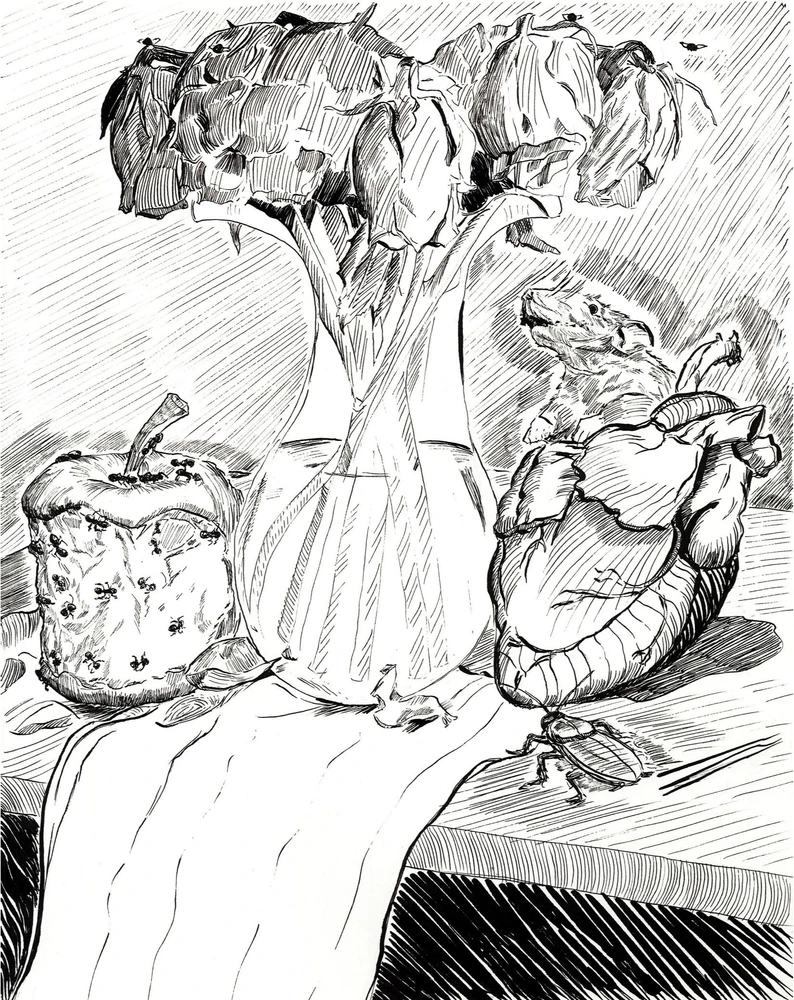 Image uploaded by Sixto