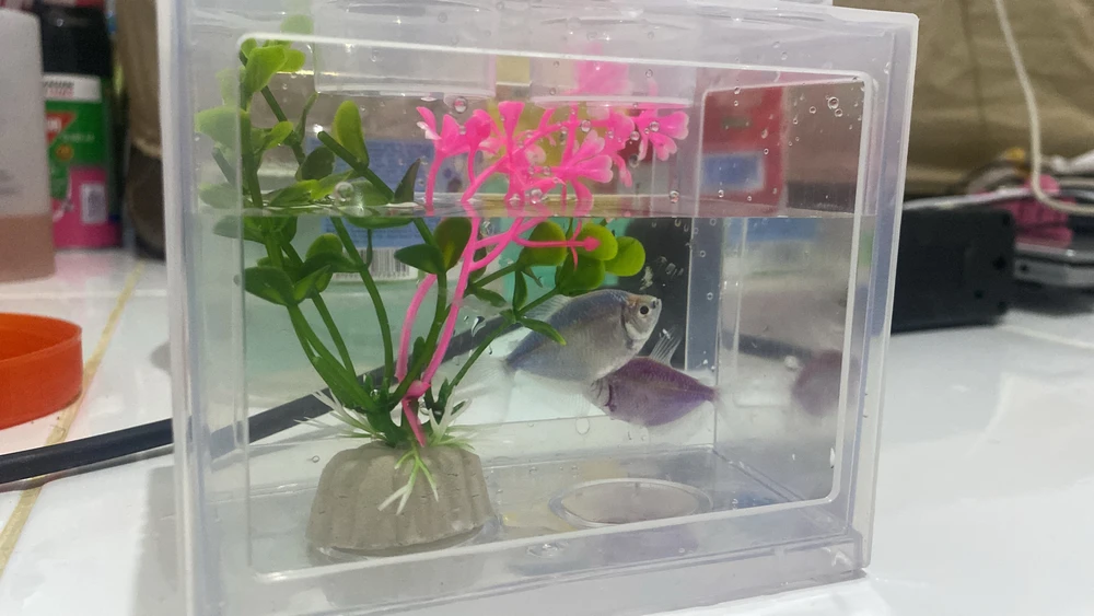 GIF uploaded by Kiah