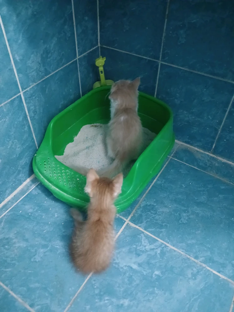 GIF uploaded by Amr