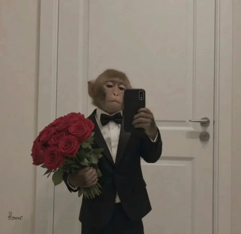 GIF uploaded by Eli