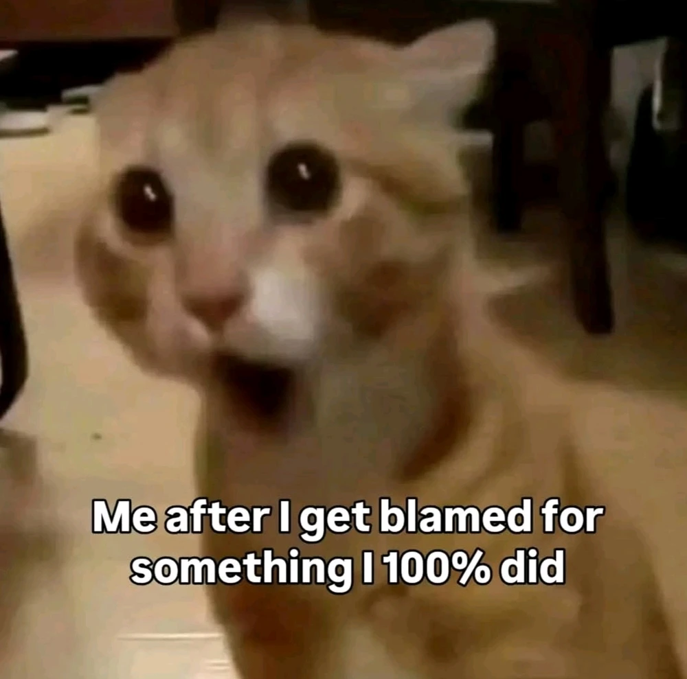 GIF загружаны Bubu