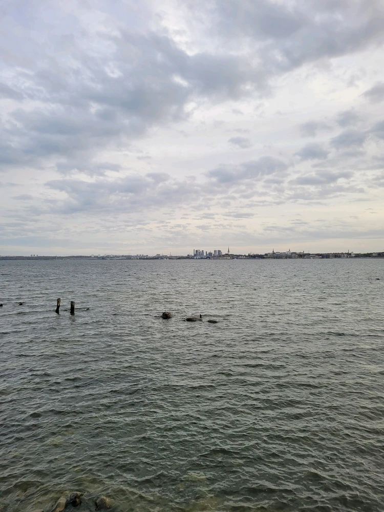 GIF uploaded by Risto