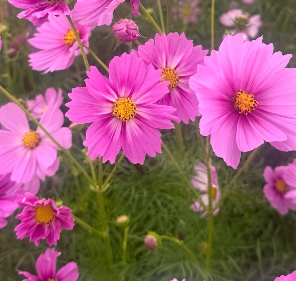 GIF uploaded by cy