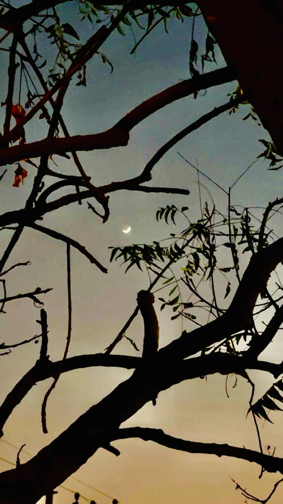 GIF uploaded by Pinak