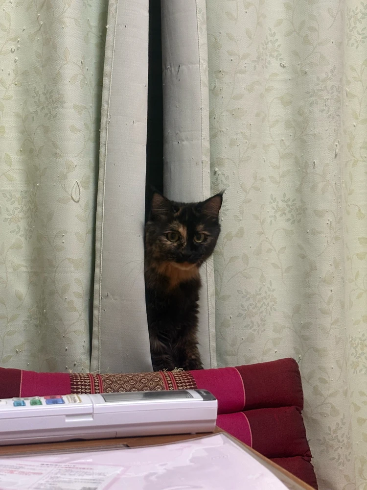 GIF uploaded by sora