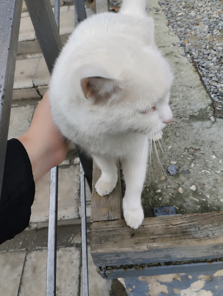 GIF uploaded by Sofia