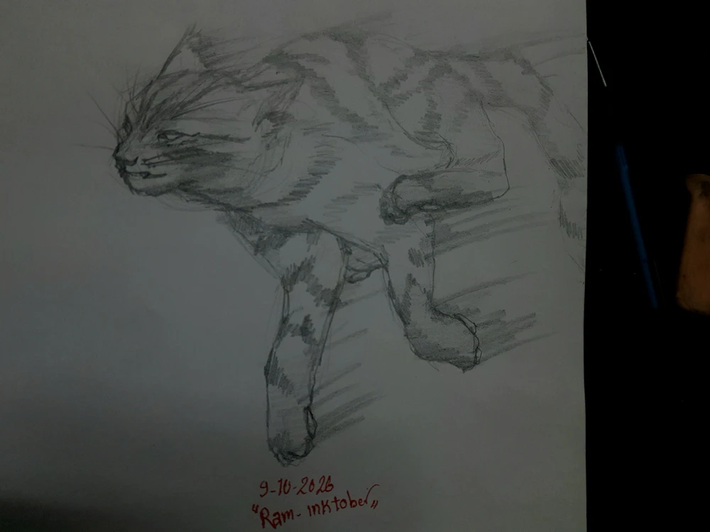 Image uploaded by Farah
