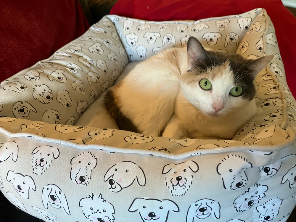 GIF uploaded by Violaine