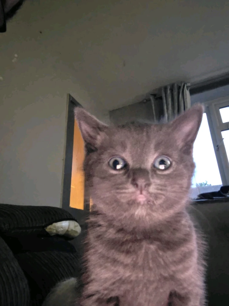 GIF uploaded by Elle