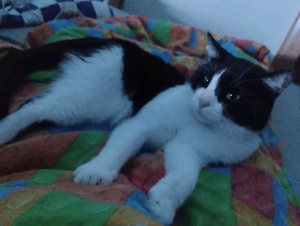 GIF uploaded by Nela