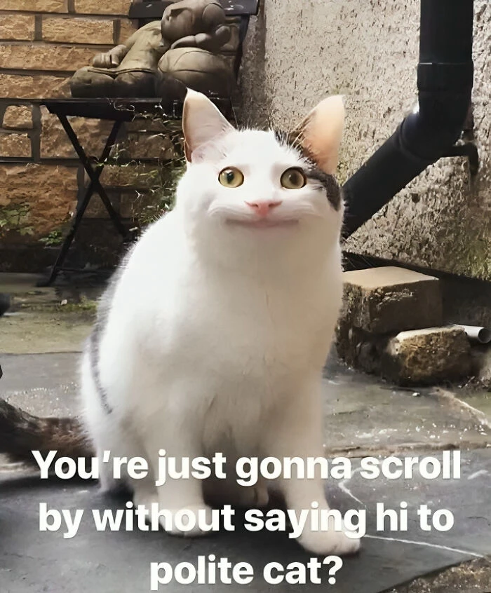GIF uploaded by Ell