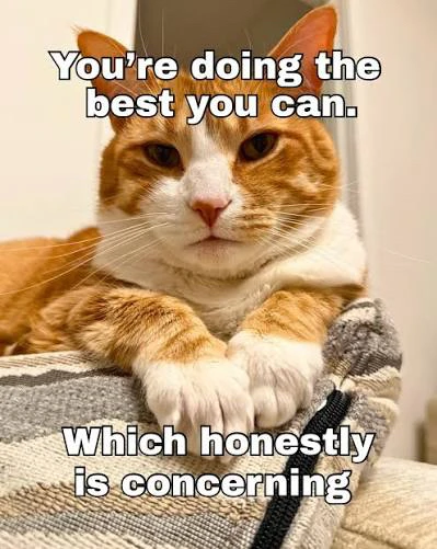 GIF uploaded by Ell