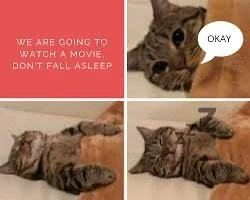 GIF uploaded by Ell