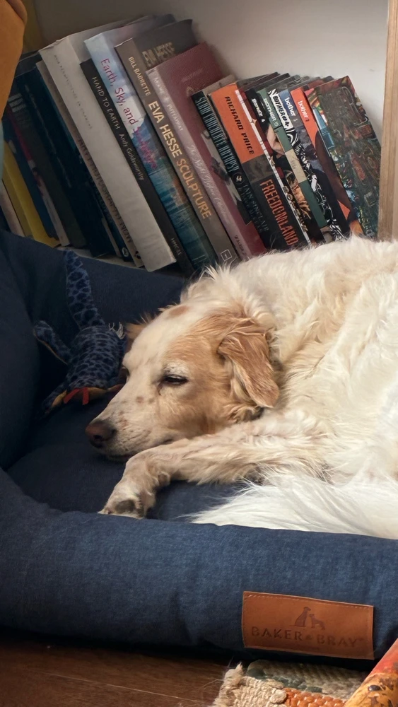 GIF uploaded by Marlowe
