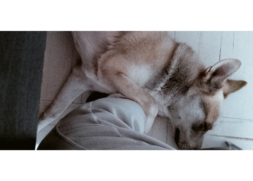 GIF uploaded by Mikeyla