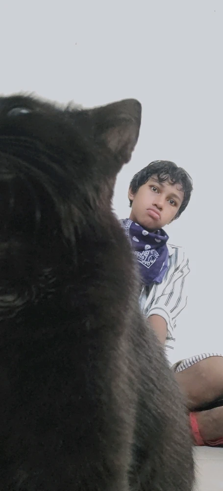 GIF uploaded by Misedra