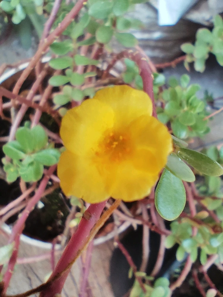 GIF uploaded by sebastian