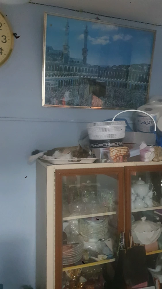 Image uploaded by Riz