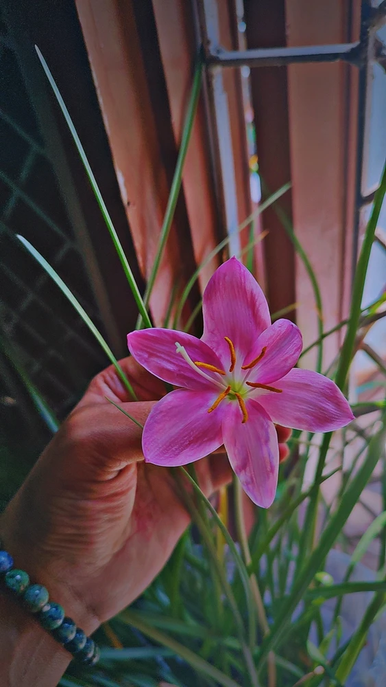 GIF uploaded by Sagar