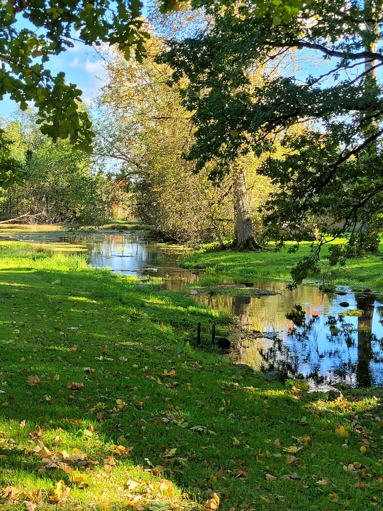 GIF uploaded by Risto