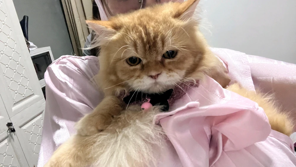 GIF uploaded by Deia