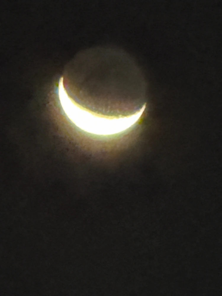 Moon🌙