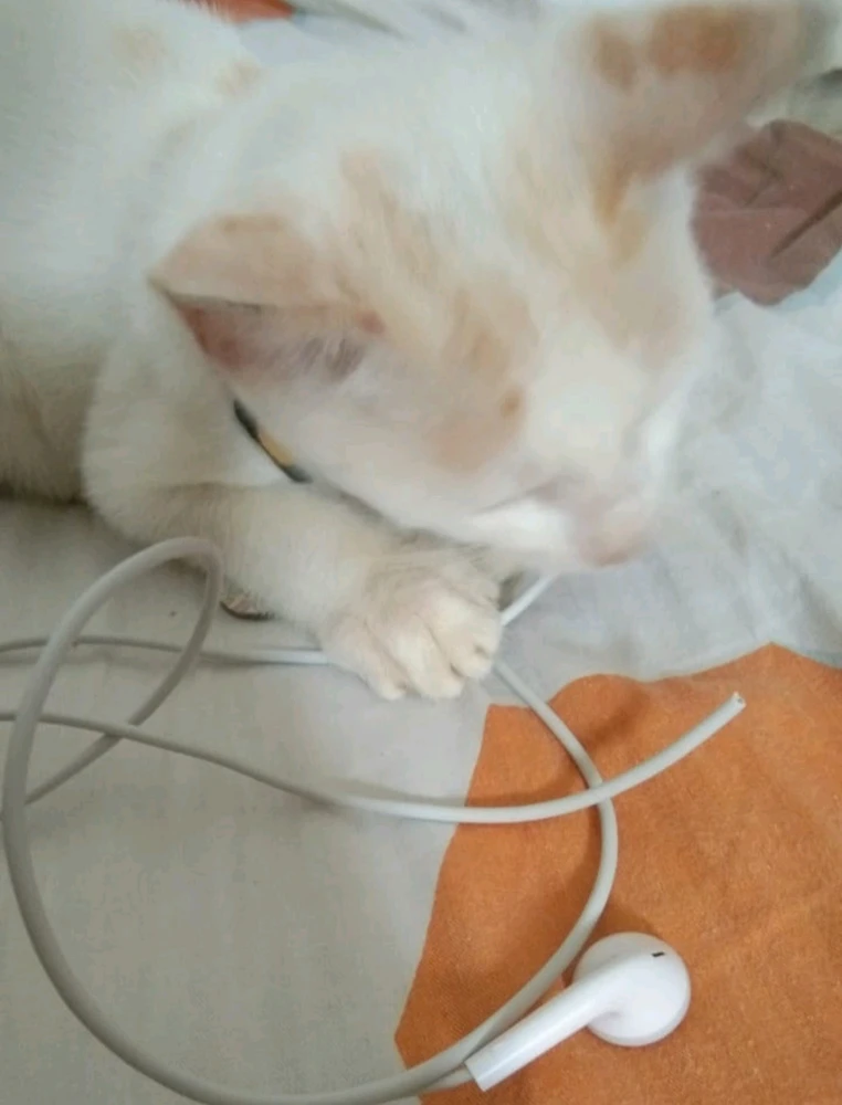 GIF uploaded by nindhit